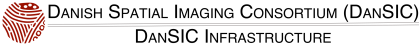 DanSIC Logo